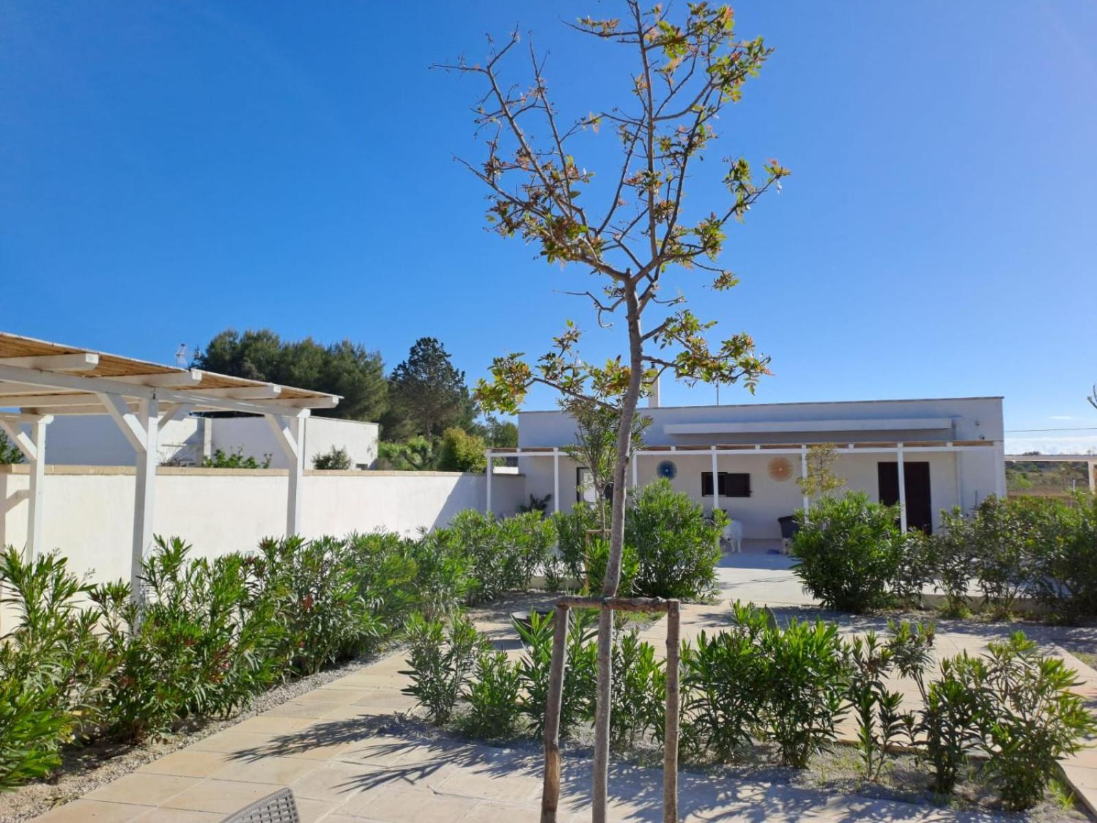 Hotel La Tana Dell Upupa Nel Salento Torre Squillace Exterior foto