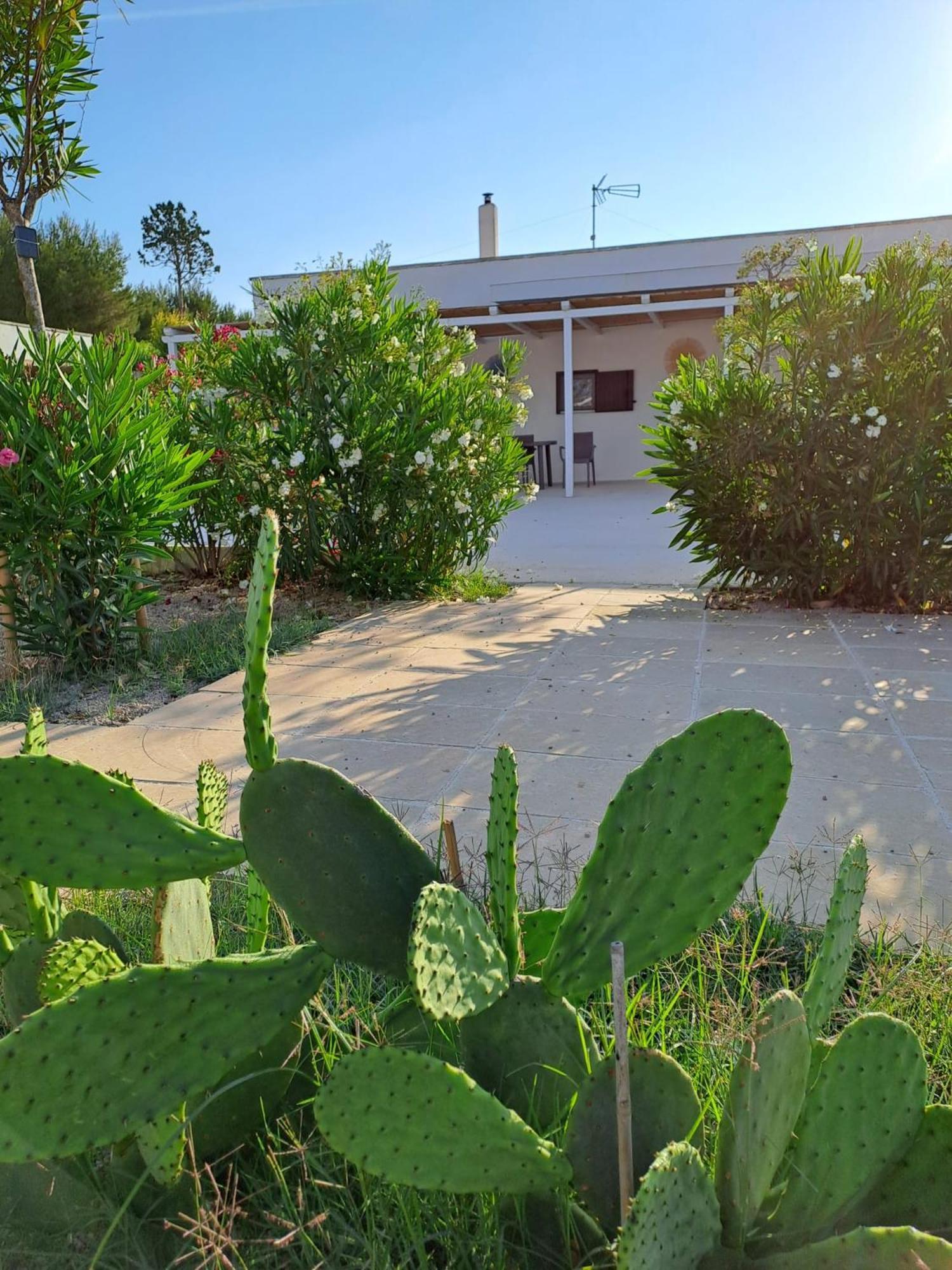 Hotel La Tana Dell Upupa Nel Salento Torre Squillace Exterior foto